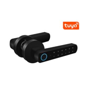 Yala Intelligente PNI SafeHome PTY800S Fingerabdruck, Code, Tuya Smart App