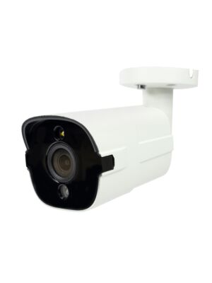 Videoüberwachungskamera PNI IP818JS, POE