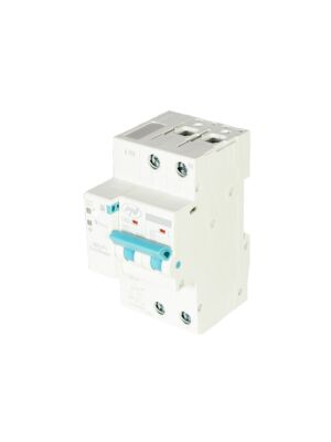 PNI SafeHome PT863 WiFi intelligente automatische Sicherung, einstellbar 1-63A, Internetsteuerung, Tuya S mobile Anwendung