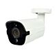 Videoüberwachungskamera PNI IP818JS, POE