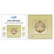 Einfache Einbausteckdose PNI WP101G mit Glasrahmen, goldgoldene Farbe, 16A 3000W